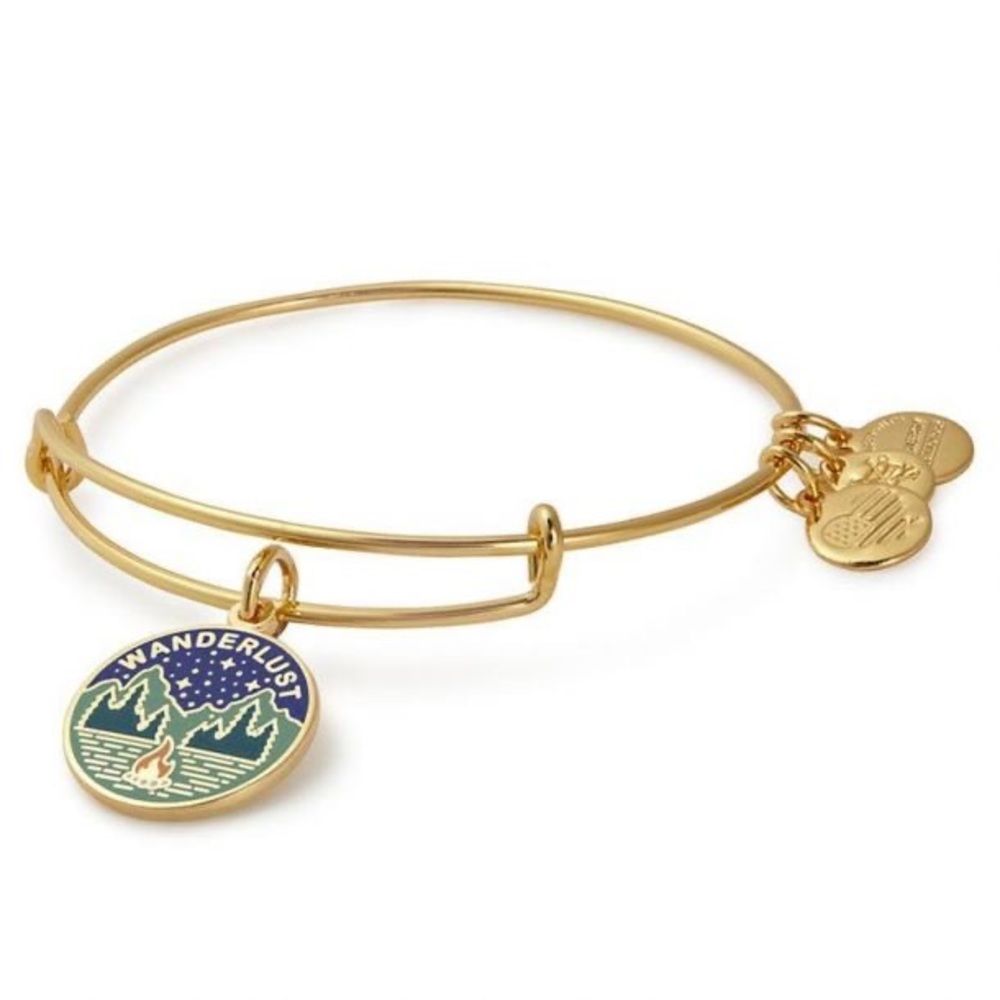 Alex and Ani Wanderlust bracelet